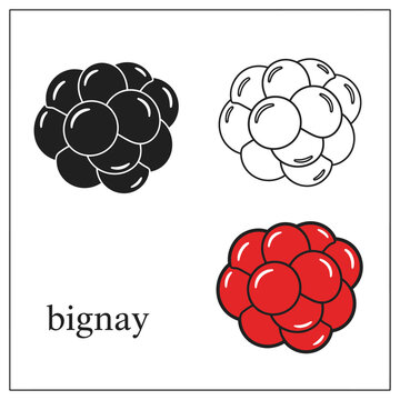 Detailed bignay berry vector graphics with flat and line art styles on grid bg