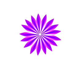 Fototapeta premium A vibrant purple flower with numerous delicate petals radiating from a central point