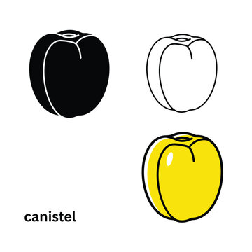 Canistel fruit vector icon set, outline, black silhouette, and color illustrations