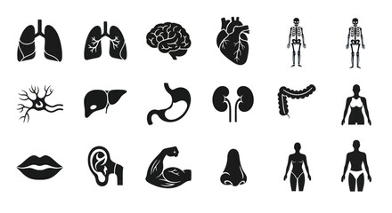 Obraz premium Human Anatomy Icons Set Internal Organs and Body Parts.