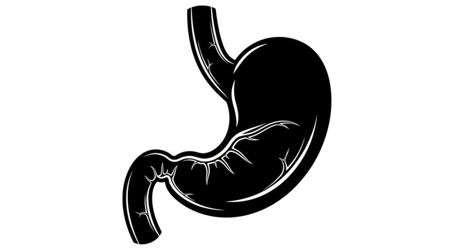 Human Stomach Organ Silhouette Black and White Illustration.