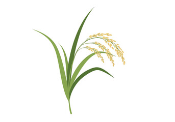 Elegant illustration of a ripe rice stalk with golden grains and lush green leaves, symbolizing harvest and abundance © nasir