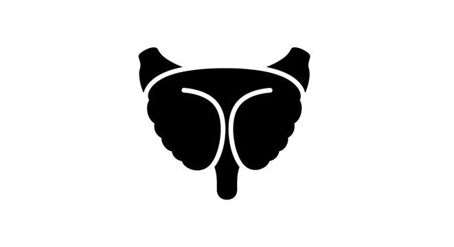 Human Male Reproductive System Silhouette Anatomy.