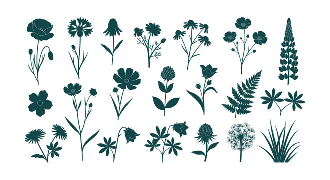 Diverse Wildflower Botanical Floral Silhouettes Collection Vector Illustration Nature Elements Set