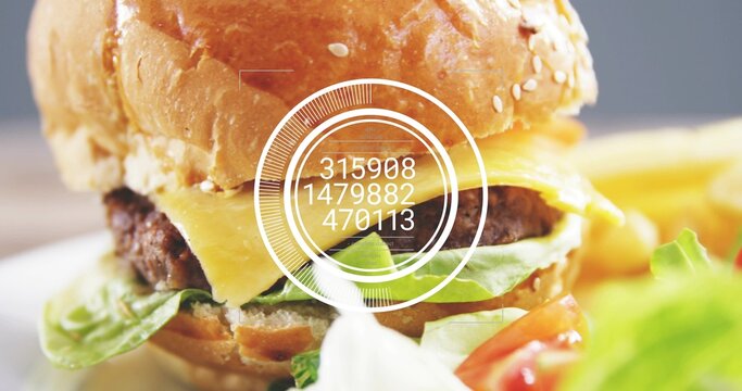 Showcasing cheeseburger melting cheddar over beef patty on white plate with fries and salad, HUD