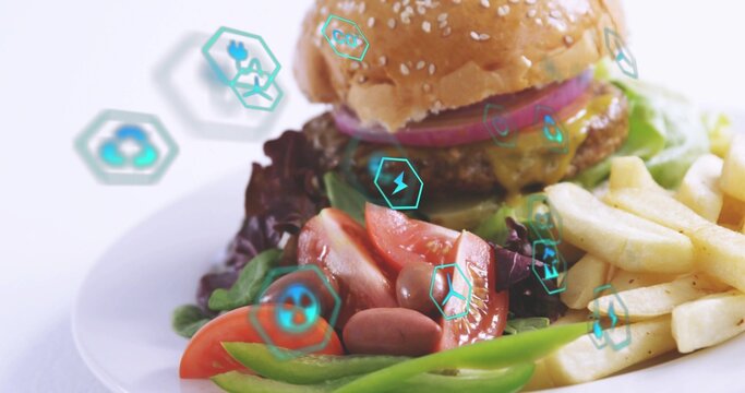 Displaying plated sesame bun burger with melted cheese, fries, salad on white plate, teal hex icons