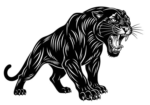 Roaring Black Panther in Attack Pose Black and White Vector Illustration