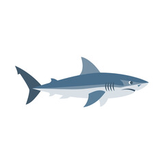 Fototapeta premium Flat design illustration of a powerful shark swimming