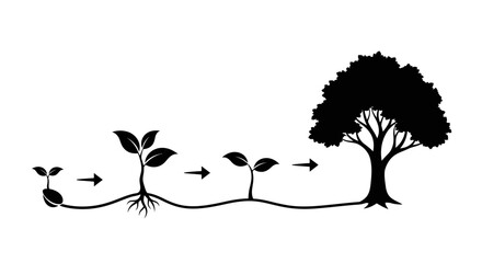 Fototapeta premium Seedling Growth Stages to Mature Tree Silhouette.