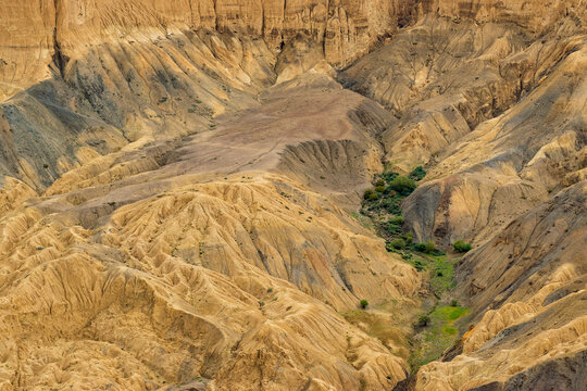 A touch of green trees at Moonland, near Lamayuru, named for its uncanny resemblance to the surface of the Moon. Naturally eroded, soft clay hills giving it a true lunar vibe. Lamayuru, Ladakh, India.