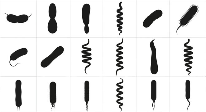 Set of 18 black bacteria and virus cell icons vector