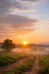 sunset over the field