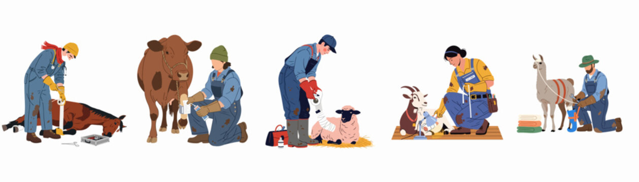 Veterinarians and farmers caring for a diverse range of farm animals including horses, cows, sheep, goats, and llamas, showcasing dedicated animal welfare and agricultural work.