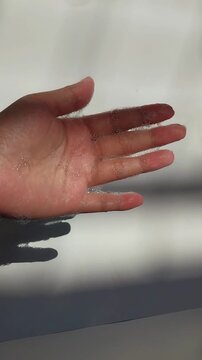 Hands full of bubbles, under the sunlight. White background.