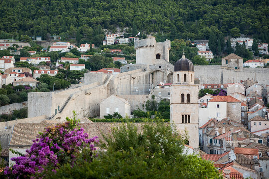 Panoramic view of Dubrovnik Old Town with Minčeta Tower and Dominican Monastery bell tower. Summer morning in Croatia, historic stone walls, terracotta roofs, and blooming bougainvillea.