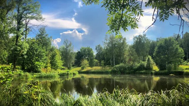 Tsarskoye Selo, Pushkin, Saint Petersburg, Russia &ndash; Lower Lamsky Pond on the Kuzminka River in Alexander Park on a sunny summer day. Calm water surface reflecting blue sky and clouds surrounded by lus