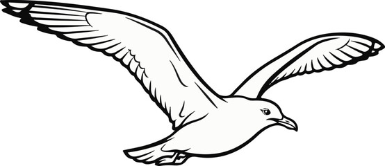 Fototapeta premium A black and white illustration of a seagull in full flight with wings outstretched