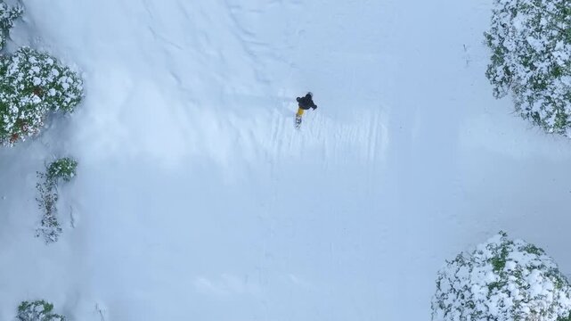 Top down aerial footage capturing a single person moving across a snow covered landscape framed by pine trees. Winter scene with soft light and untouched snow.