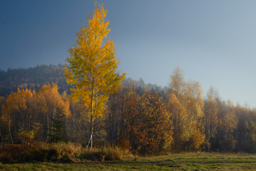 Górski krajobraz z jesiennym lasem w świetle zachodzącego słońca © piotr