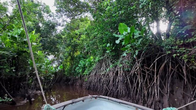 Boat trip on the Igarape do Urubu River, Delta das Americas, Ilha das Canarias, Brazil. Amazon Rainforest. South America