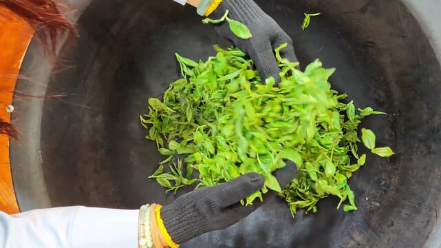Tourists experiencing traditional handmade green tea roasting process in a large iron pot in Puer, Yunnan, China