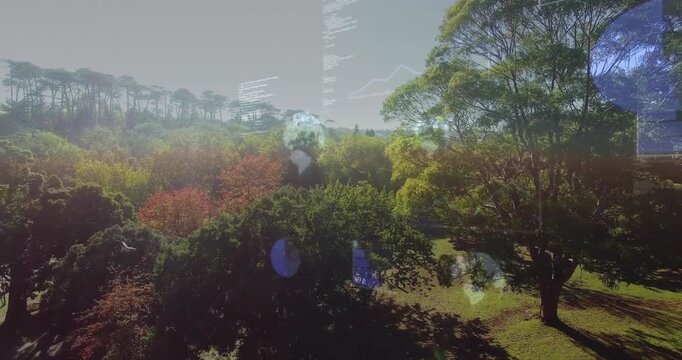 Camera panning right and descending, overlays and silhouettes appearing, showing forest health data