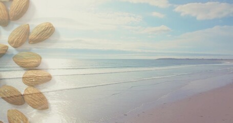 Naklejka premium Reflecting wet sand and shallow waves on coastal seascape at low tide, featuring shelled almonds