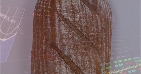 Showing vertical tree trunk in studio, merging with translucent charts, tickers, percentage labels