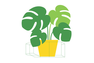 Colorful Monstera Plant in Yellow Pot with Clear Geometric Base on White Background