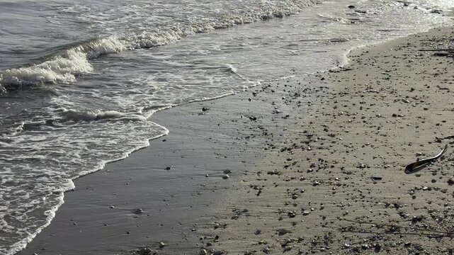 Shoreline waves onto the beach in Lisbon