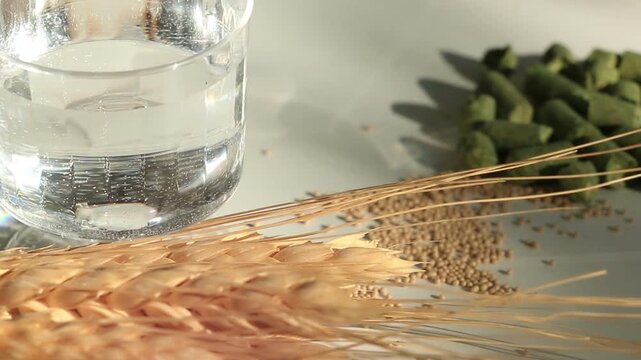 Ingredients necessary in the brewing of beer. Water, yeast, hop pellets and a barley sheaf for malt. Slow pull back with natural sunlight and added light leaks.
