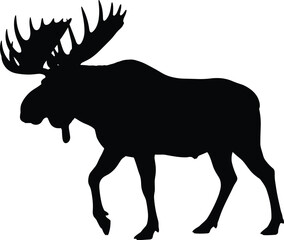 Silhouette of two birds sitting on a tree branch, birds in love concept, spring nature wildlife, avian animal couple, togetherness.