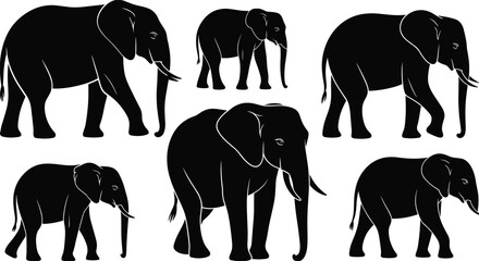 Majestic elephant silhouettes and line art collection, African wildlife vector set featuring adult elephants and calves on white background © Robbani