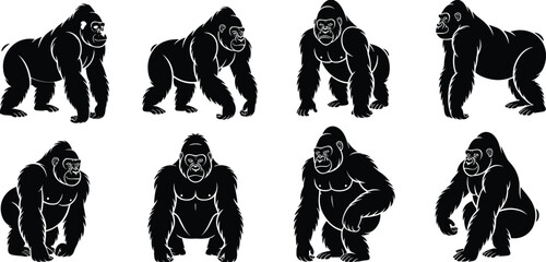 Large collection of gorilla silhouettes, majestic silverback primate vector set, various standing and sitting ape icons on a white background © Robbani