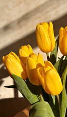 Naklejka premium bouquet of tulips