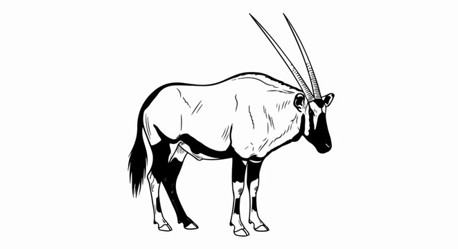 Stylized black and white illustration of a graceful oryx standing with long, straight horns