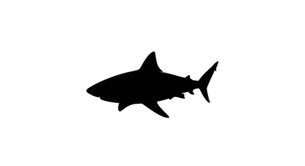 Fototapeta premium Black silhouette of a shark swimming.