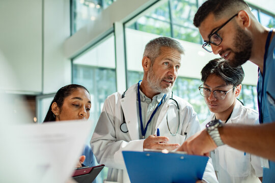 Doctors and medical students reviewing charts in modern hospital