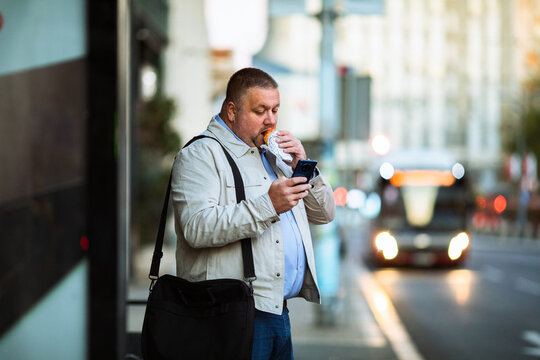 Man eating sandwich and using smartphone at city bus stop