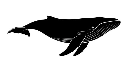 Obraz premium Black silhouette of a whale swimming.