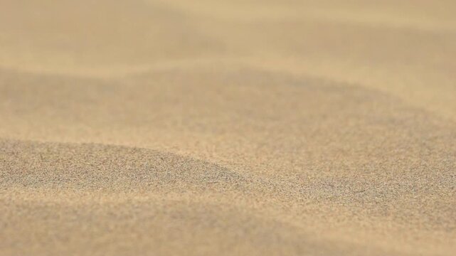 Detailed close-up view of fine golden sand grains forming natural wind-shaped patterns in Thar Desert, Rajasthan, India.