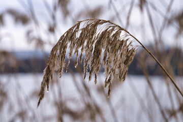Serene natural scene. Peaceful landscape featuring tranquil lake and muted earthy tones