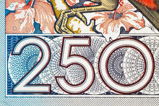 Ornate Denomination Design on Suriname 250 Gulden Banknote. Vintage Suriname Money