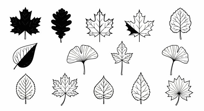 Collection of diverse leaf illustrations featuring outlines and solid fills, showcasing botanical forms