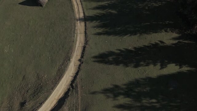 Minimalist Long Tree Shadows and Traditional Haystacks on Rustic Green Meadow Cinematic Top Down Spinning Drone Shot 4K Ungraded Log