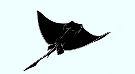 Fototapeta premium Large black manta ray swimming ocean.