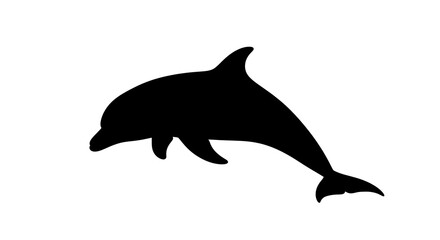 Obraz premium Black silhouette of a dolphin swimming.
