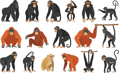Diverse Primate Vector Collection Featuring Gorillas, Chimpanzees, Orangutans, and Monkeys in Various Poses for Wildlife Education, Nature Conservation, and Zoo Themed Graphic Designs © Yousuf