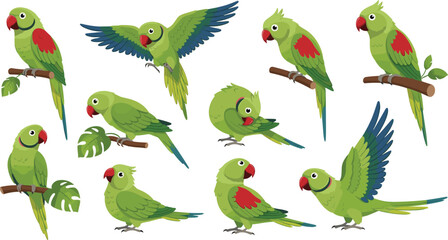 Green Parrot Vector Collection with Indian Ringneck Parakeets in Various Poses Including Flying Perching and Preening for Tropical Nature and Wildlife Designs © Yousuf