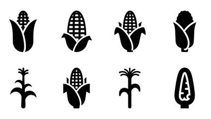 set of black silhouette corn and maize icons simple flat vector illustration